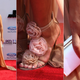 Illustration for article titled Cool Shoes, Hot Hair and Visible Nipples at the BET Awards